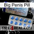 Big Penis Pill 39